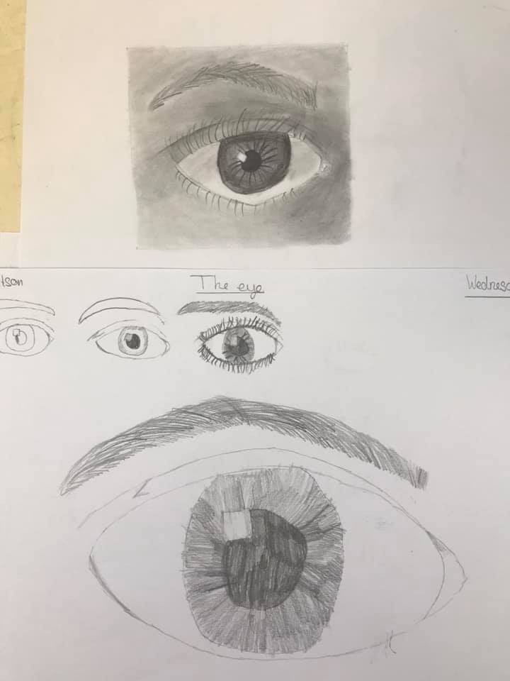 So, at St Martin’s we do a 5 yr course in just portraiture, beginning with basics like the Formal Elements (SHAPE &SCALE, COMPOSITION, etc) and then we move on to precisely modelled lessons on how to draw….. an eye, ears, mouths, etc. & then practise, practise, practise. 4/10