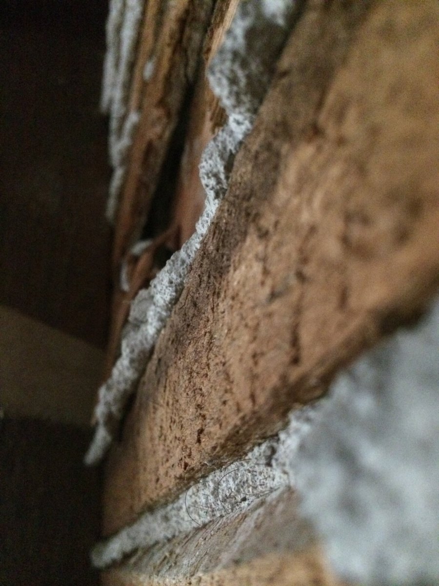 initiat_ed's tweet photo. De/Construction https://t.co/j1R20PYMGG https://t.co/ThbhtmdLWJ