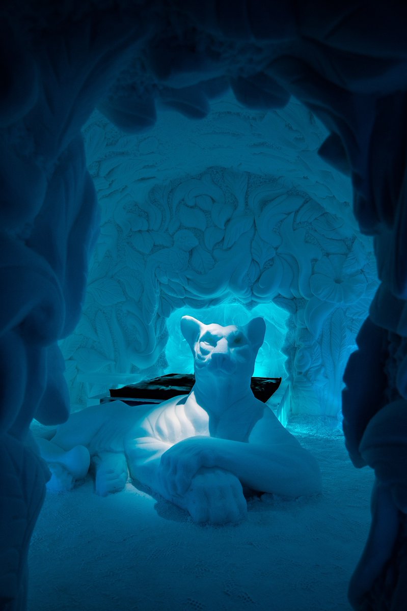 artisan_travel's tweet photo. Did you know that the #ICEHOTEL® is 30 this year?
Head to Swedish #Lapland to join in the celebrations! Search brochure code '5116' on our website to find out more.
© Asaf Kliger & ICEHOTEL®
#Wanderlust #BucketList #Sweden #Travel #Snowhotel https://t.co/tgw2dQYjdx