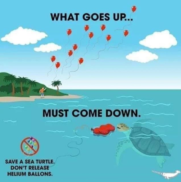 Gallifrey001's tweet photo. Today's Little Reminder! #plastickills #balloon #balloondecor #balloondecoration #saveaseaturtle #ocean #saynotoplastic #plasticfreeoceans #zeroplastic #endplasticpollution https://t.co/Ay2PR7DvM7