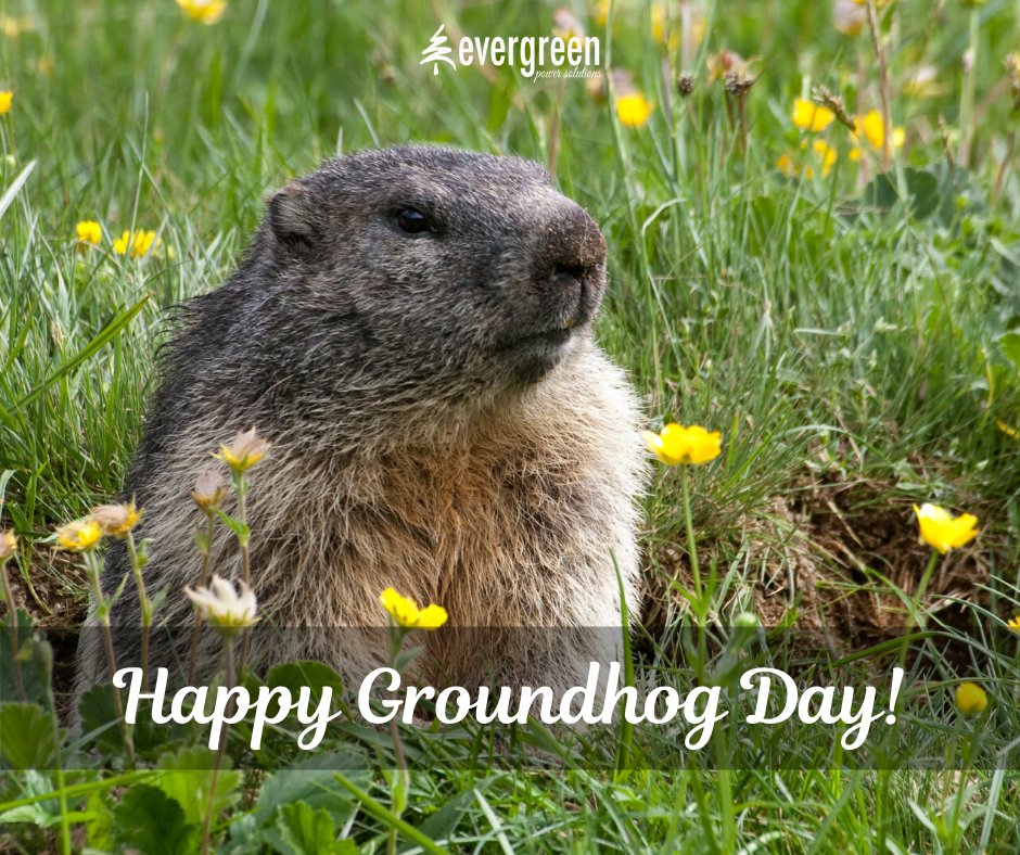 EvergreenPowSol's tweet photo. The results of Groundhog Day 2020 are in: Punxsutawney Phil Predicts An Early Spring 🌷! It's the 20th time in the past 134 years that Phil has predicted an early spring outcome. #GroundhogDay #electricity #electricitybill #electricityrates #Texas #EvergreenPowerSolutions https://t.co/ZyGAst5LOg