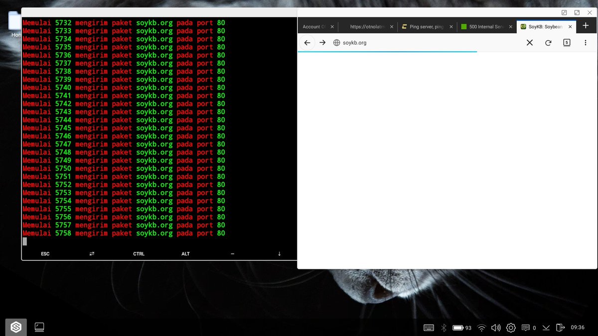 IςεHαςκίηɠ tweet media