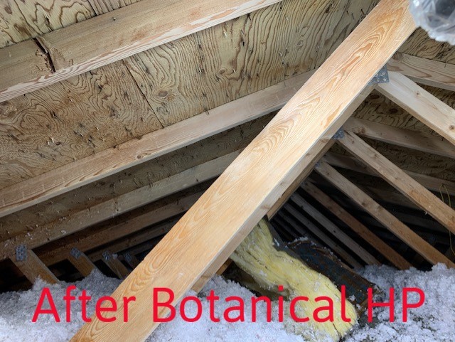 moldodorguykzoo's tweet photo. Before & After Botanical HP! 😳 This truly works FAST!
#TheMoldGuy #BreakTheMold #MoldDetection #Mildew #DryBasement #MoldRemoval #Remediation #MoldGuy https://t.co/VwvP7H2rD9