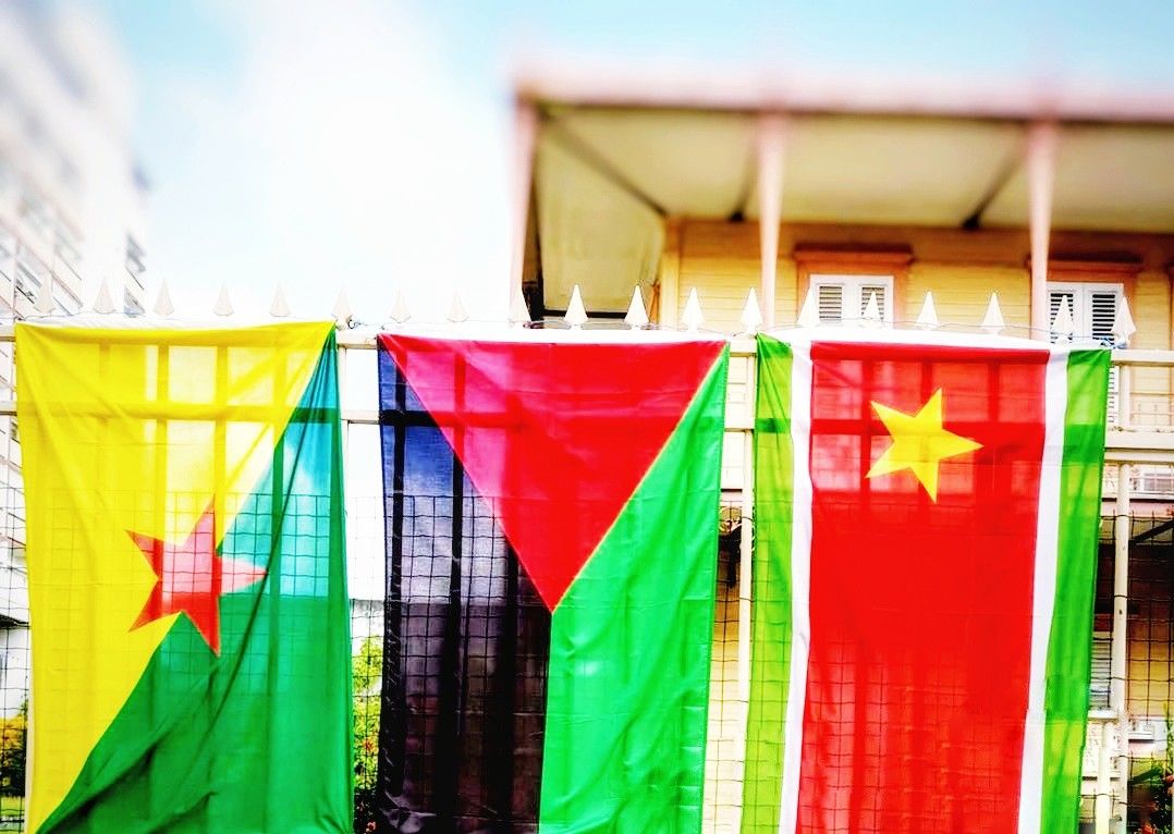 MatikaaStyle's tweet photo. Quel drapeau te représente le mieux?  👀

#matikaa #973 #972 #971 https://t.co/CbmdaHY4V6