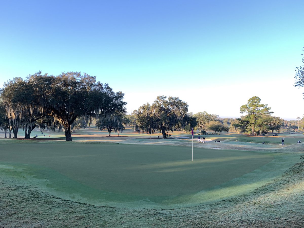 MBGCatUF's tweet photo. 2/2 Open fairways. No restrictions. Course is in great shape. Beautiful morning for a round of golf. @GatorsGolf ⛳️ 🏌️ 🏌️‍♀️ 🐊 https://t.co/Z5Huvas1hx