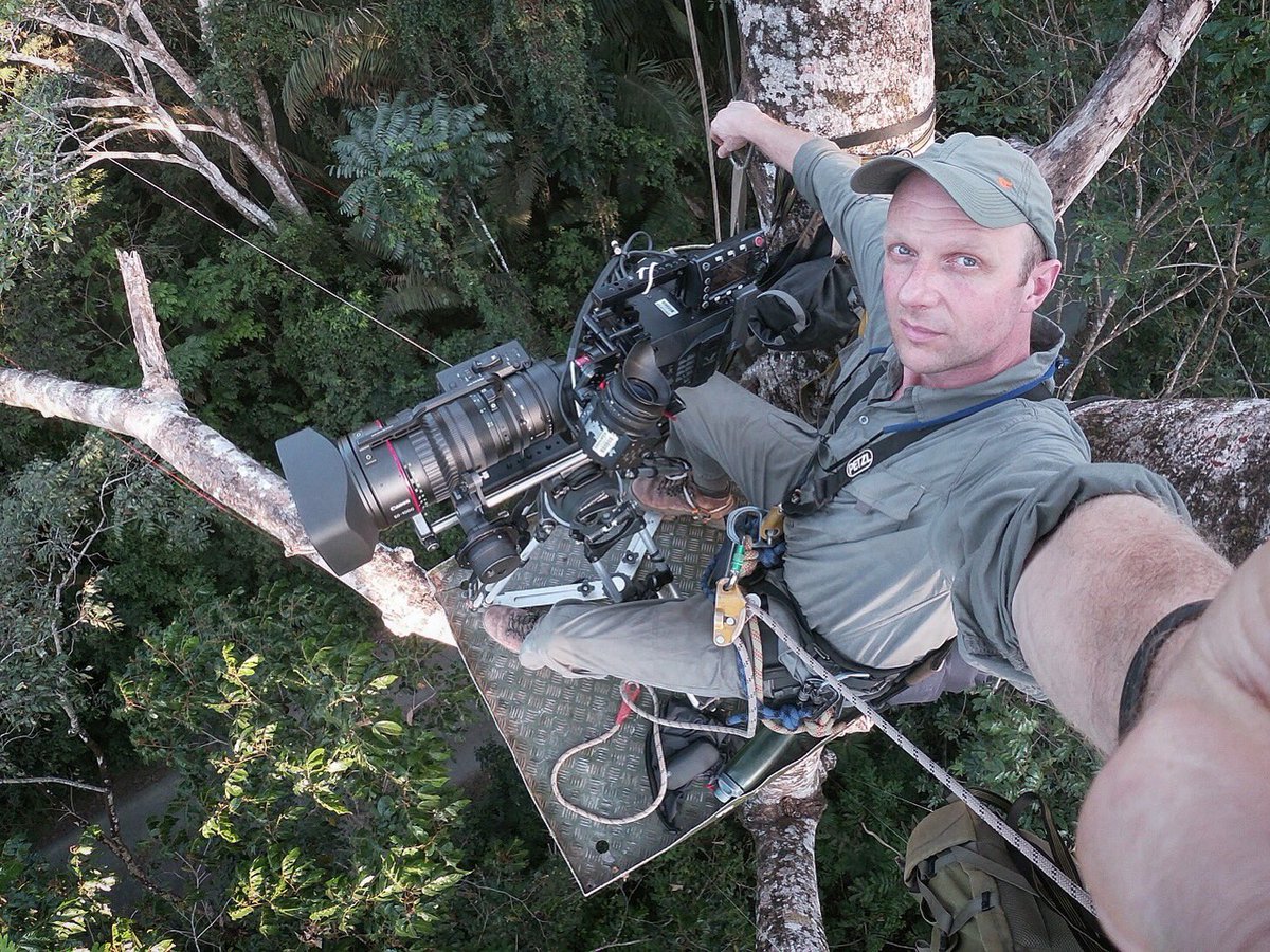 My perch whilst filming in the #rainforest #canopy for David Attenborough's new series #TheGreenPlanet over the past few weeks. This is the kind of camerawork I love best. "What is this life, if full of care, we have no time to stand and stare." #BBC
