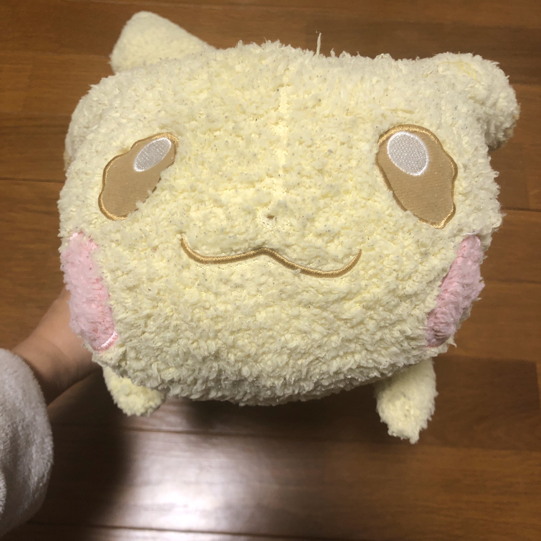 使用人b子 彼氏のお気に入りのぬいぐるみ ボロボロピカチュウを復活させた 長年の添い寝によりボアが完全に固まっていて サバンナで暮らすヌーのお尻ぐらいごわごわ 計30回押し洗いし3種類のブラシでブラッシング 毛玉を取って ワタを