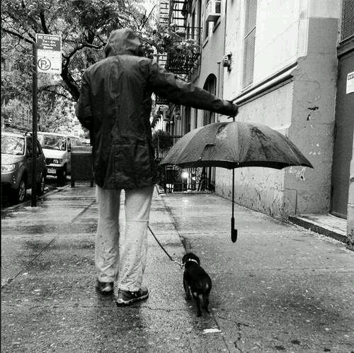 Quando ti viene data la possibilità di avere ragione o di essere gentile, tu scegli di essere gentile 🌻
Cit. Wonder
#VivoLaFotografia 📷🎬
Mi piace augurarvi una #BuonaDomenica cosi 
<a href="/CasaLettori/">Casa Lettori</a> 
<a href="/BrindusaB1/">BrindusaB</a> <a href="/Rebeka80721106/">Rebeka</a> <a href="/VAlivernini/">Viviana Alivernini</a> <a href="/AlessandraCicc6/">Alessandra Ciccolini</a> <a href="/gherbitz/">Claudia 🐱🍓</a> <a href="/migliaccio31/">erminia rubulotta</a>
