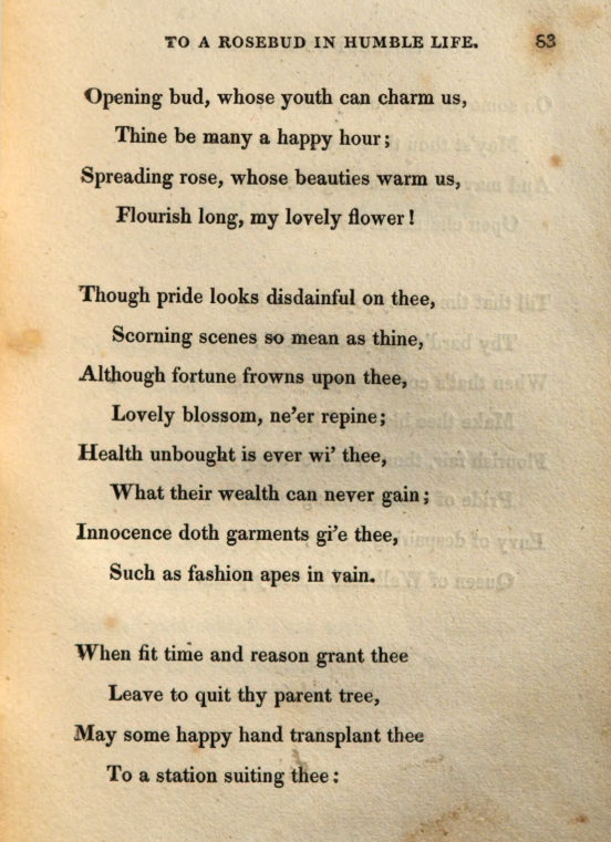 JohnClareSoc's tweet photo. Today's #PoemsDescriptive2020 is 'To a Rose-Bud in Humble Life'. Clare again shows here how a poem that might riff on a generic theme also contains profoundly personal and local detail. 'Walkherd's lonely plain' refers to Walkherd Lodge, home of Patty Turner (C's future wife) https://t.co/tNYwFiEy5f
