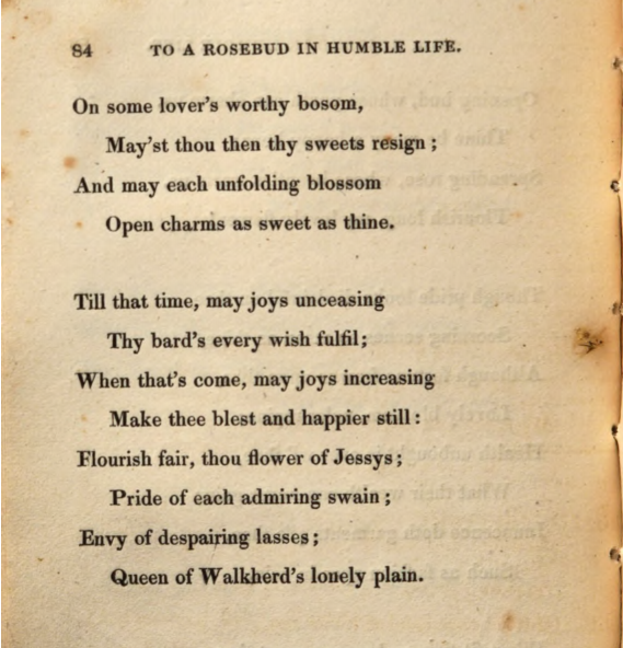 JohnClareSoc's tweet photo. Today's #PoemsDescriptive2020 is 'To a Rose-Bud in Humble Life'. Clare again shows here how a poem that might riff on a generic theme also contains profoundly personal and local detail. 'Walkherd's lonely plain' refers to Walkherd Lodge, home of Patty Turner (C's future wife) https://t.co/tNYwFiEy5f