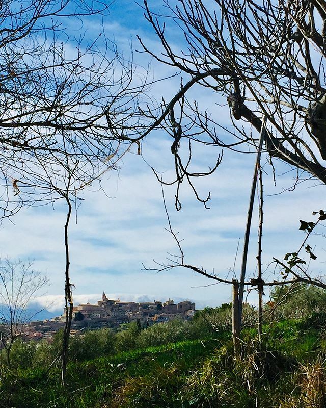 cittacorinaldo's tweet photo. 📍Corinaldo
2 febbraio 2020
.
.
.
#corinaldo 
#borghipiubelliditalia 
#marchetourism 
#febbraio https://t.co/29FY9hpa1v