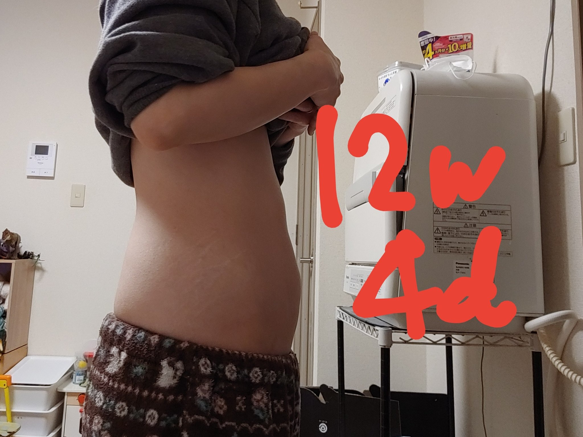 てるてるてる子 6歳児 1歳半 9 12週のおなか 自分的には大きくなって来た気がするけどまだあんまり変わらない お腹の 大きさメモ T Co Dfrwzpclfl Twitter