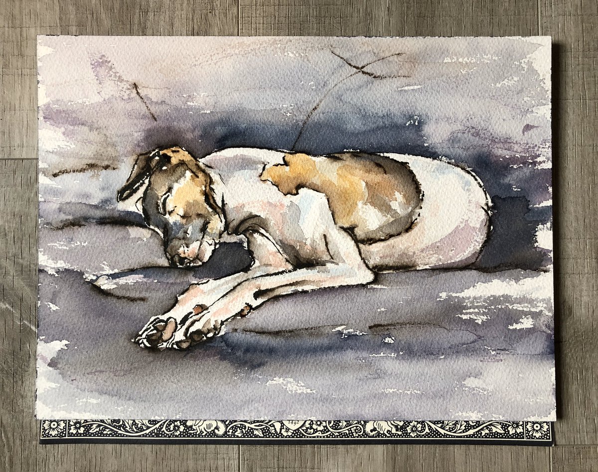 FionaThomsonArt's tweet photo. Sepia brush-pen and watercolour. I didn’t realise the ink was water-soluble but I like the ‘messy’ line. Peedie again and I don’t apologise.
#PeediePointyDog #italiangreyhound #iamdrawingabook #illustrator #pointydog #iggie #watercolour #dogsontwitter #italiangreyhound #dogart https://t.co/R5bwcVKt9k