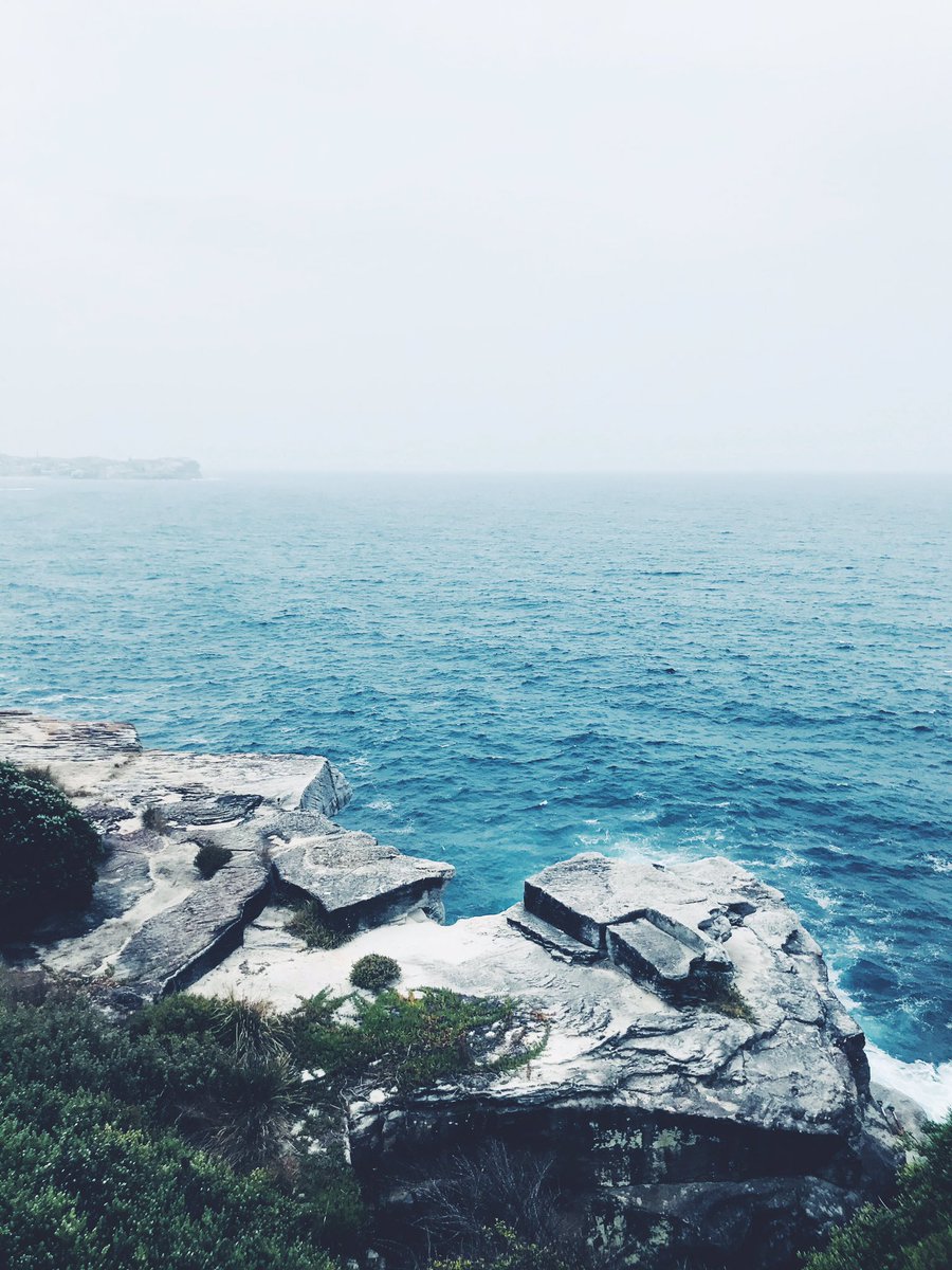 Lilli Gordon tweet media