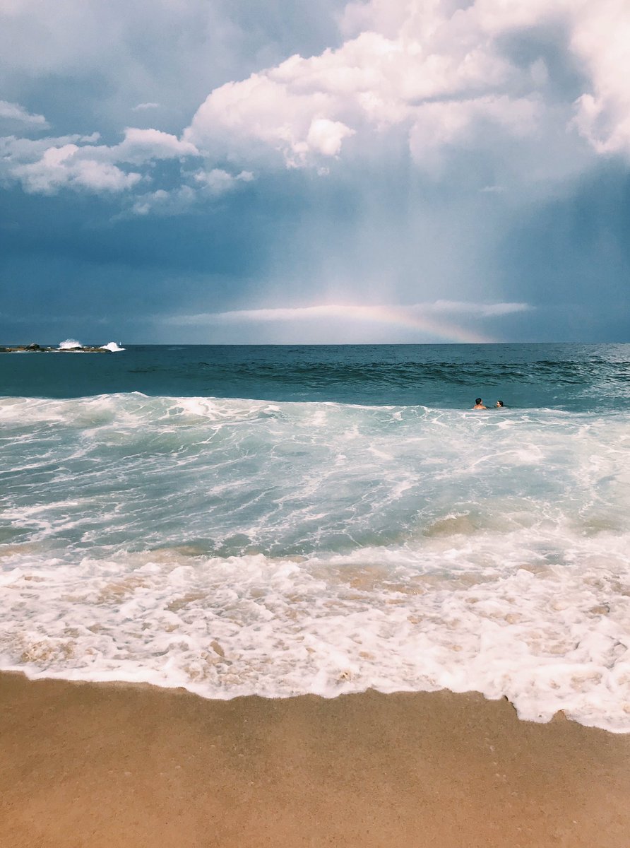 Lilli Gordon tweet media