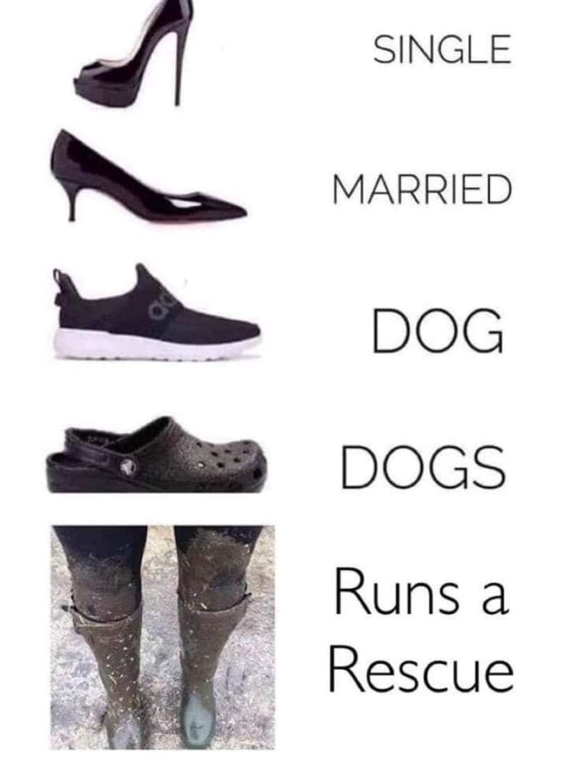 GoodVetPetGuide's tweet image. You can tell a lot about someone from the shoe that they wear! 

#dogs 

@gsrescueelite