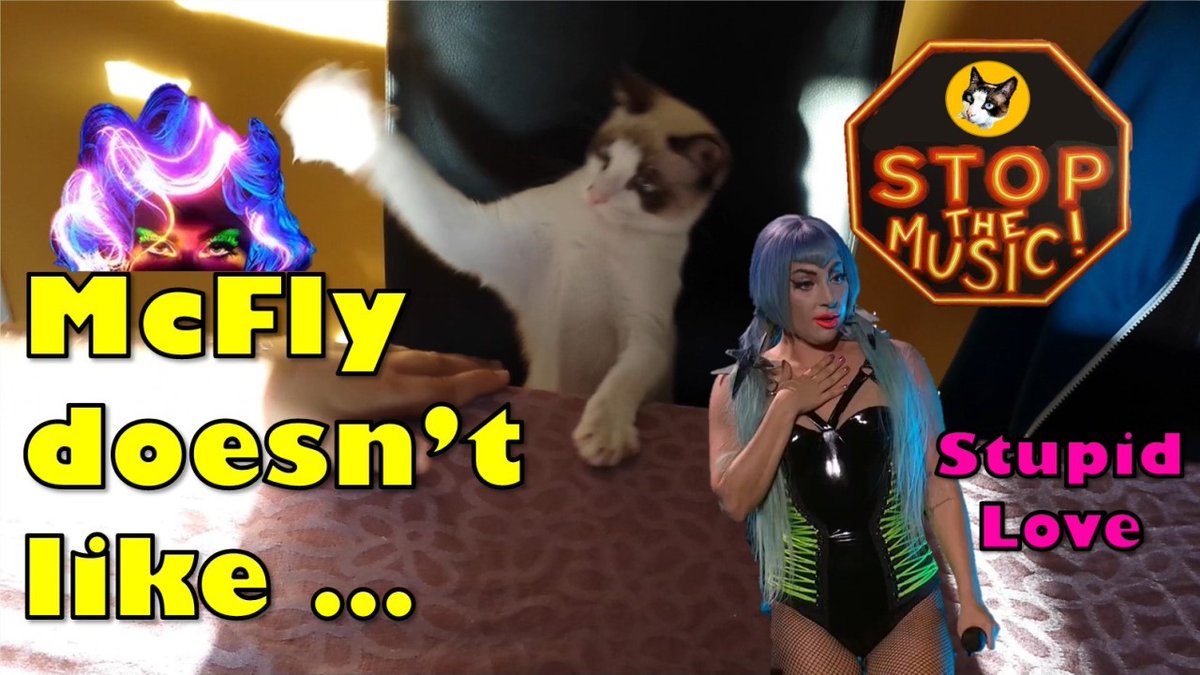 mcflyelsa's tweet photo. McFly wants #StupidLove ... in #SuperSaturdayNight with @ladygaga 
#CatsOfTwitter Parody! 😹🐾
We LOVE you #LadyGaga 
.
👉 https://t.co/2yKdXVocAT
. https://t.co/fl8IaEbHF0