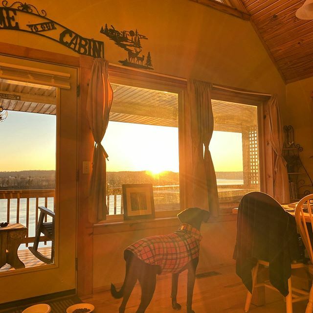 sparky003's tweet photo. Parker-Joe taking in the #sunrise #dogsofinstagram https://t.co/4BF4Ndgsa8 https://t.co/GVKpa9ArHu