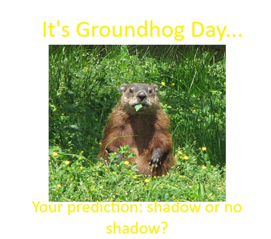 rosearsenault's tweet photo. #Groundhogday #shadowornoshadow #nomorewinterplease https://t.co/wDWVX5UmwH