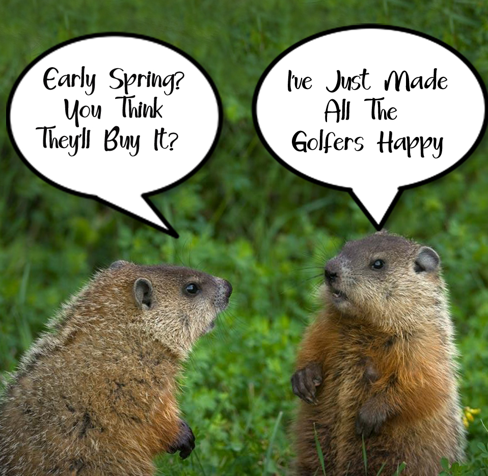 Happy Groundhog Day, and here's to an early spring! 🌷
#noshadow #groundhogday #earlyspring