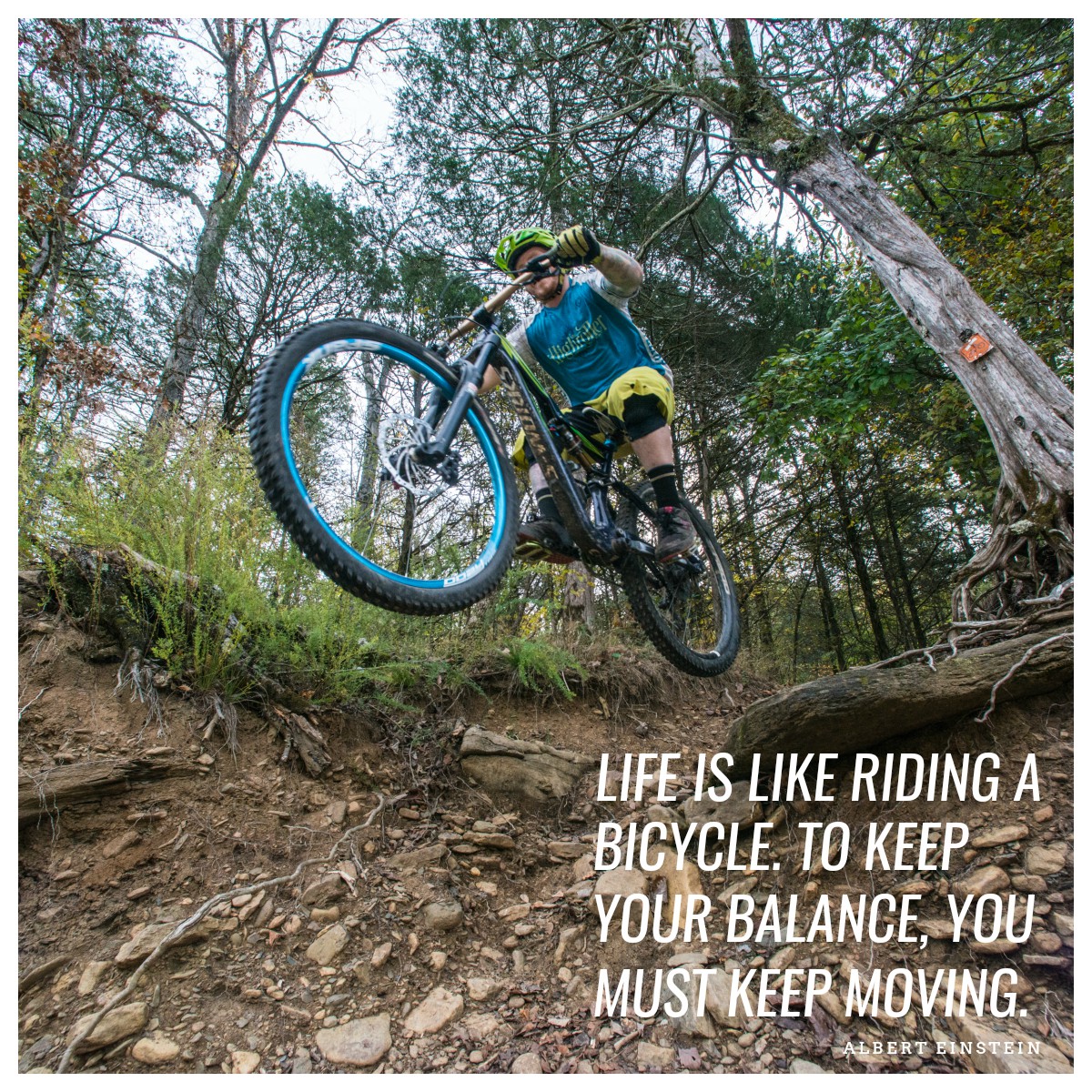 ArkStateParks's tweet photo. Keep moving forward. We're here to help. https://t.co/tn59doyE0A #ARStateParks https://t.co/5MguqP1Mqp