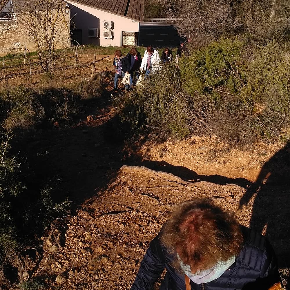 cesub_subirats's tweet photo. 11 nous coneixedos de les #trinxeres de #ultimadefensadebarcelona gracies a #saborsentempsdeguerra, ruta que uneix al #ciarga i al #ciudeb https://t.co/oY1CgwtW9Q