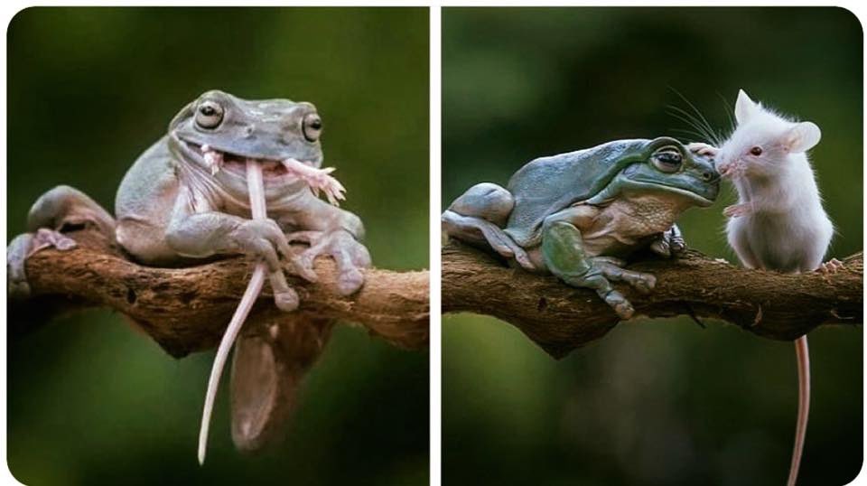 الإفراط في حسن النِيَّة قد يكلفك الكثير