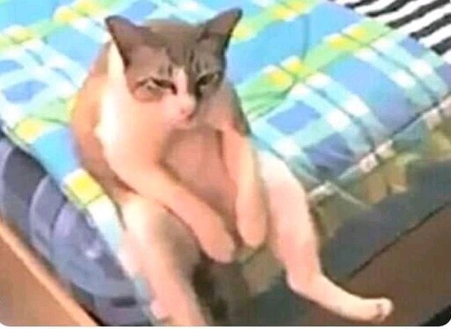 guahineitor's tweet photo. Cuándo me paso toda la semana levantándome temprano y me levanto un domingo temprano hacer ni miérda https://t.co/q5O9KJesCE