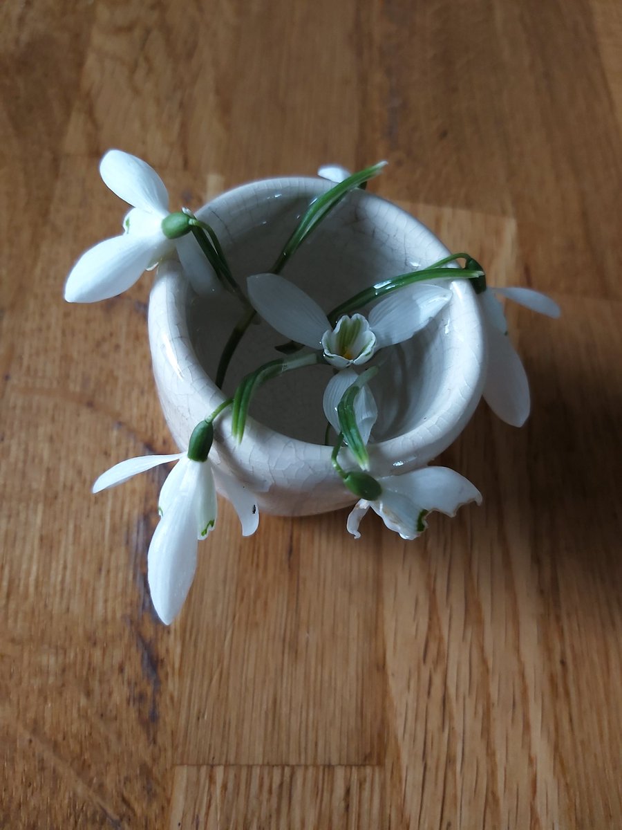 Laura_Moodie's tweet photo. #366DaysOfNature The youngest picked some snowdrops from the garden for me. They don't last long in water, especially when previously clutched in a little, warm hand, but it's the thought that counts. https://t.co/r2brn6FHtd