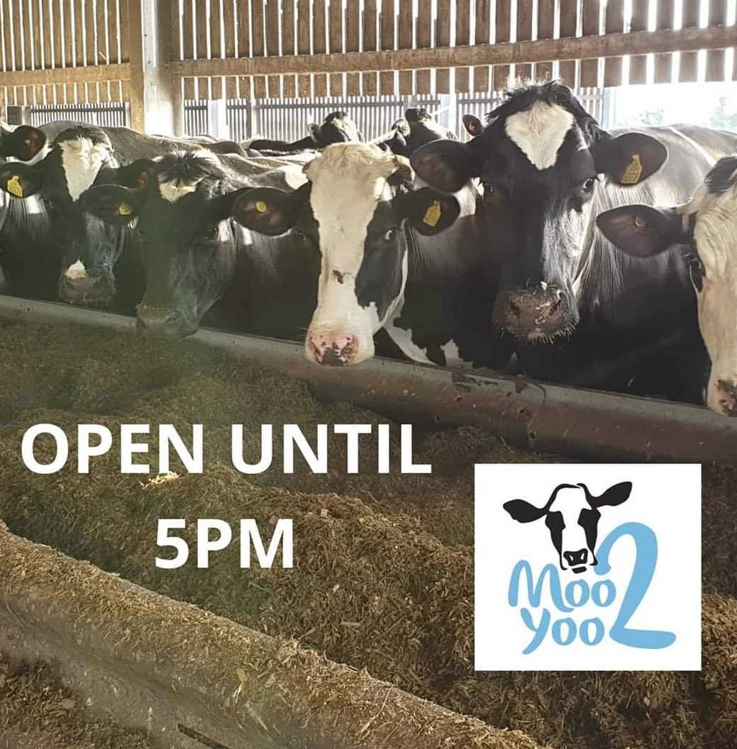 🐄We're Open Until 5pm Today
#moo2yoo #sunday #freshmilk #milkvendingmachine #selfservice #allcannings #wiltshire #pasteurised #lovely #dairy #cows #theladies #glassbottles #reuse #refill #farmfresh #britishmilk #dairygoodness #buybritish #februdairy #teamdairy #shoplocal