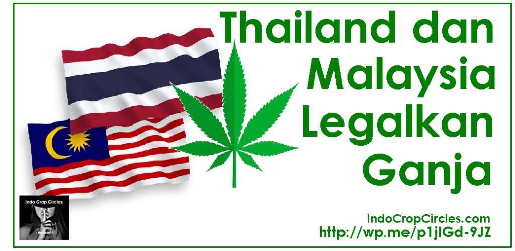 Thailand dan Malaysia Legalkan Ganja indocropcircles.wordpress.com/2020/01/03/tha…