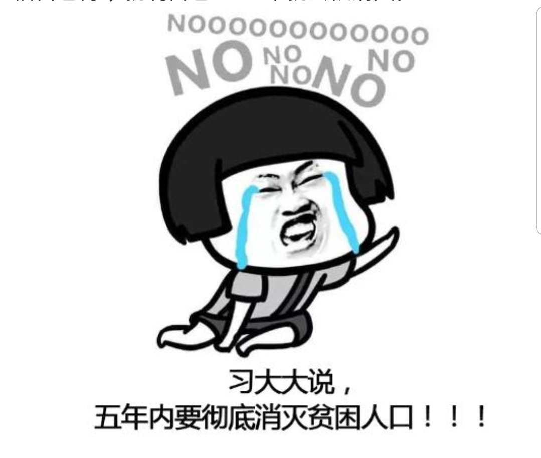 Vanessa 姗 tweet media