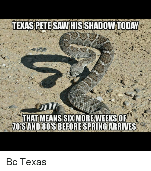 RepStanLambert's tweet photo. #GroundhogDay2020  in #HD71! #SweetwaterJaycees #txlege 🤣 https://t.co/FqahCAsHqQ