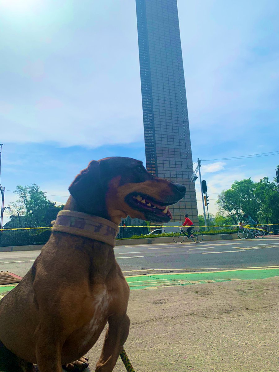 Javi Metal tweet media