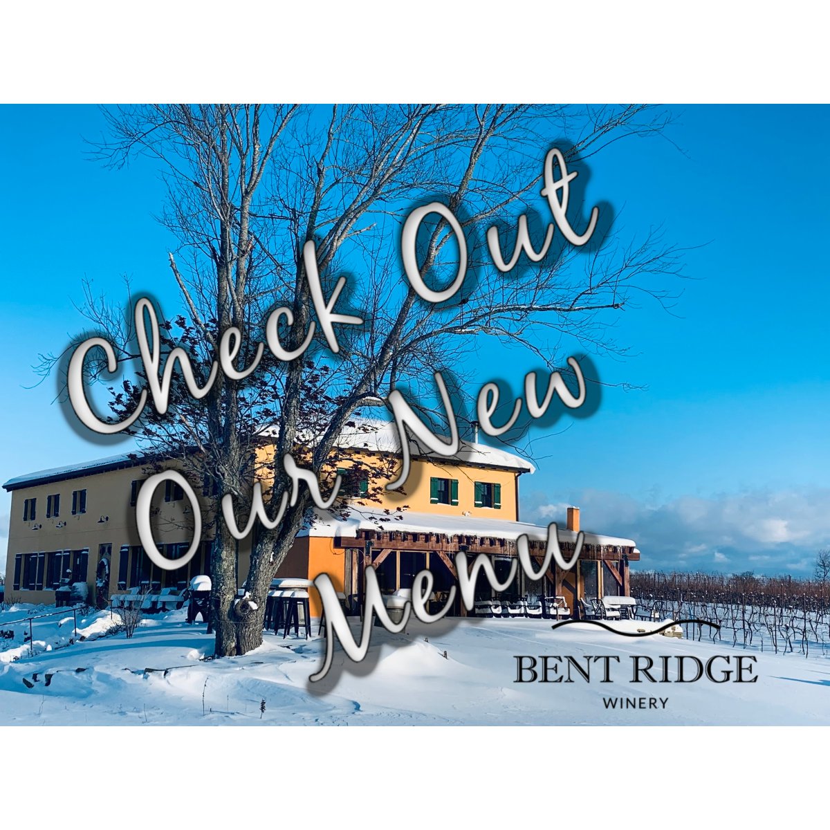 BENT RIDGE WINERY'S
NEW EXPANDED MENU

CHECK IT OUT!
bentridgewinery.ca/cuccina-menu

RESERVATIONS
902 472 2212
info@bentridgewinery.ca

OPEN YEAR ROUND 
SUN - THU 11AM TO 7PM
FRI – SAT 11AM TO 8PM