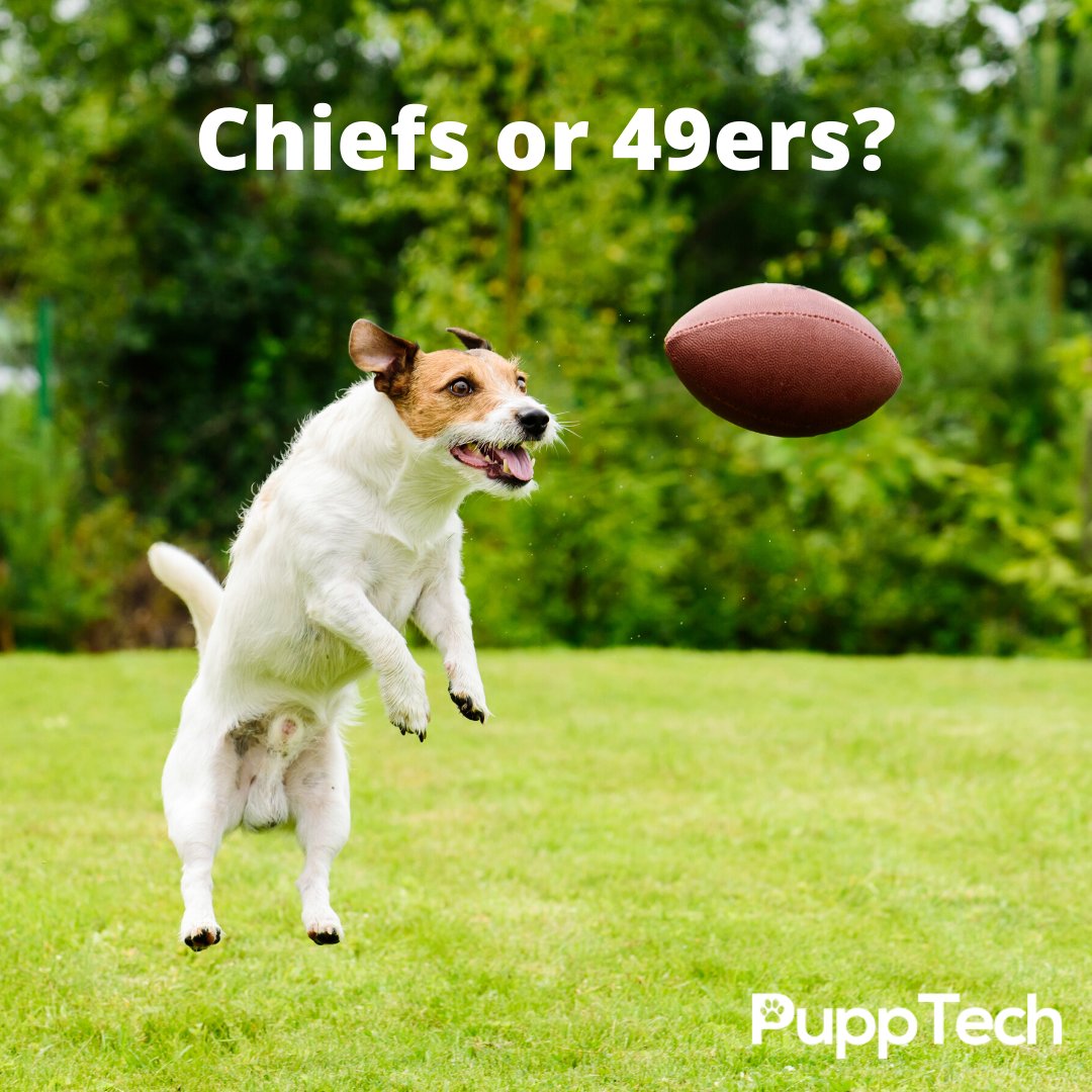 PuppTech's tweet photo. π Watching the game today? Who are you rooting for?
#biggame #football #PuppTech https://t.co/3tF1EjG4rf