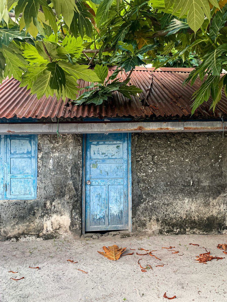 mamdhu_19's tweet photo. ހއ.މާރަންދޫ https://t.co/QhdpuWbkVD