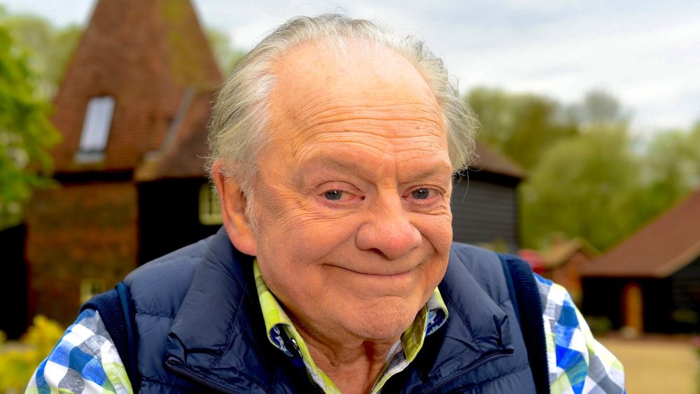 Happy 80th birthday to TV and comedy legend Sir David Jason! What\s your favourite role of David\s? 