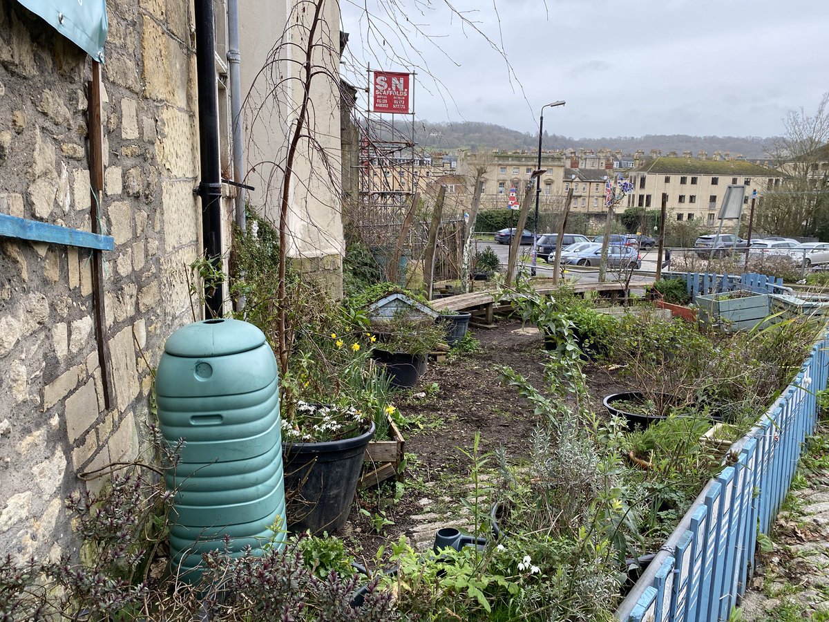 17windows's tweet image. Lovely morning helping tidy up @wildwalcot. Huge thanks to @picnic_bath for the hot drinks.