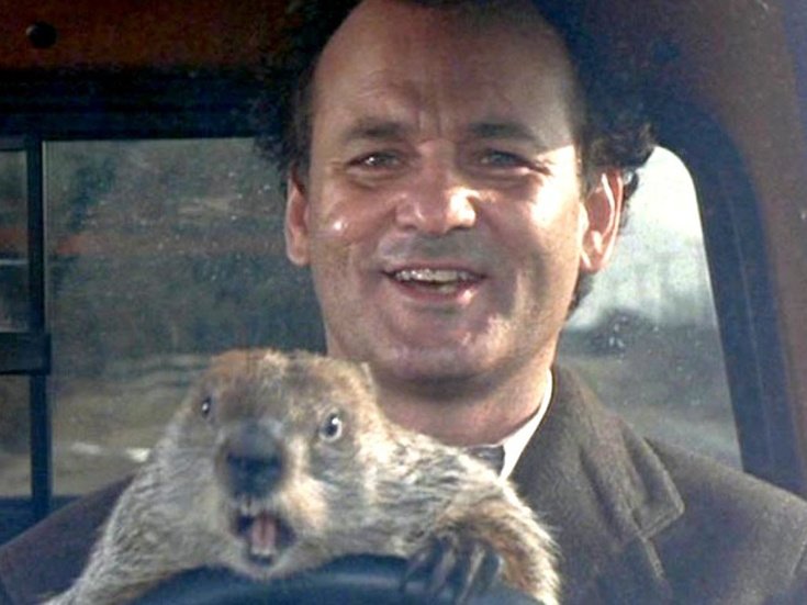 minerlibrary's tweet photo. Hopefully Punxsutawney Phil is ready to share some good news; because we don’t know how much winter we can take. 🥶#minerlibrary #ursmd #medschool #urmc #universityofrochester🐝 #medlibs #groundhogsday #ROC https://t.co/kzYScOSwzu