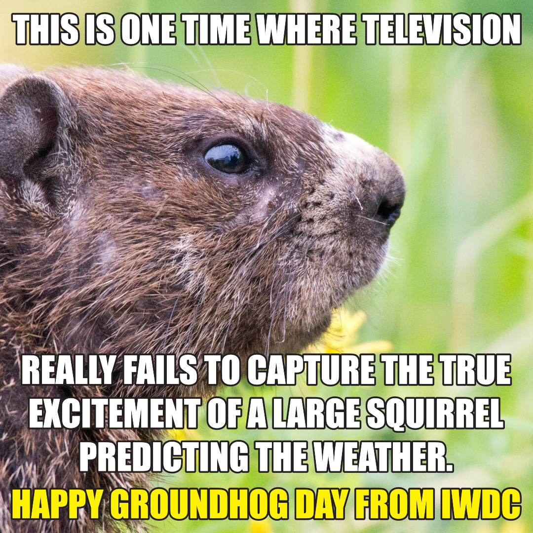 PurityPlusGas's tweet photo. Happy Groundhog Day! https://t.co/tDSWocrrEb