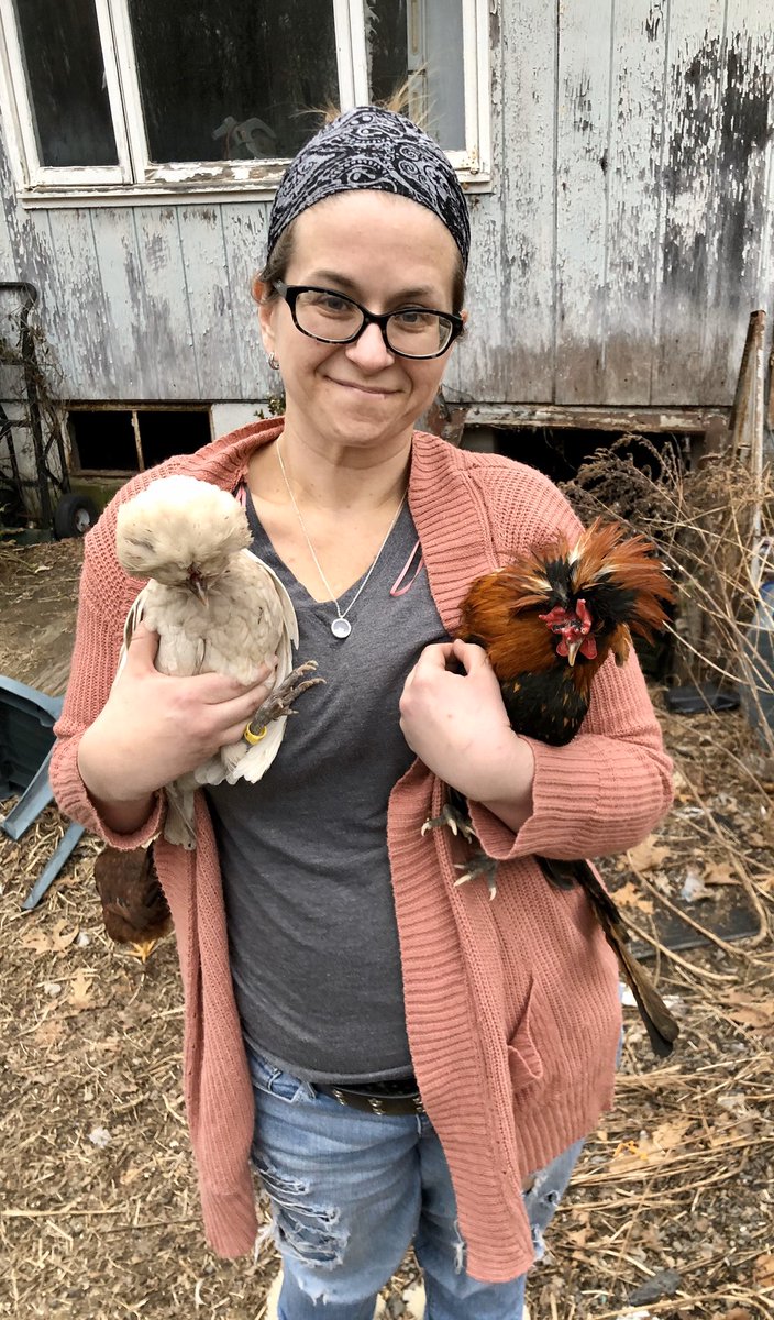 ThatClinical's tweet photo. Guys, meet Sid and Nancy, our new Polish Bantams! 😍 #ChickenNurses #FarmLife #LapRooster #ChickenMath #messyhair #dontcare @NurseJustinRN https://t.co/88xaGiwBmi