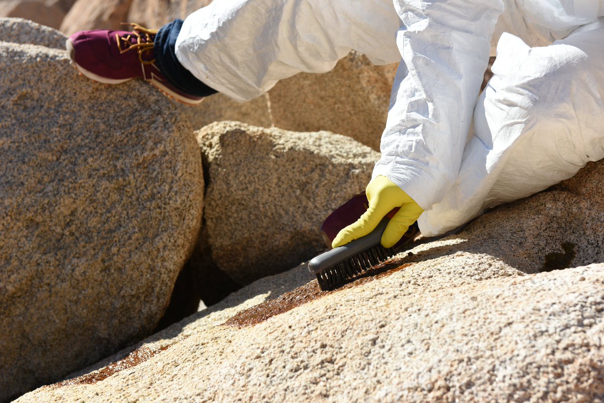 A person in yellow protective gloves and a white protective jumpsuit scrubs at a rock with a bristle brush.

Photo: NPS / Hannah Schwalbe