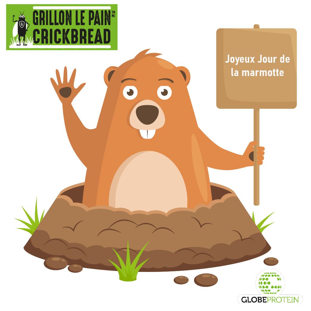 crickbread's tweet image. Globe protein and CrickBread wish you an excellent Groundhog Day! If the predictions of Fred from and Phil are correct, fill you up now of complete proteins after your spring workouts with our Cricket Powder Protein Bread and get ready for summer