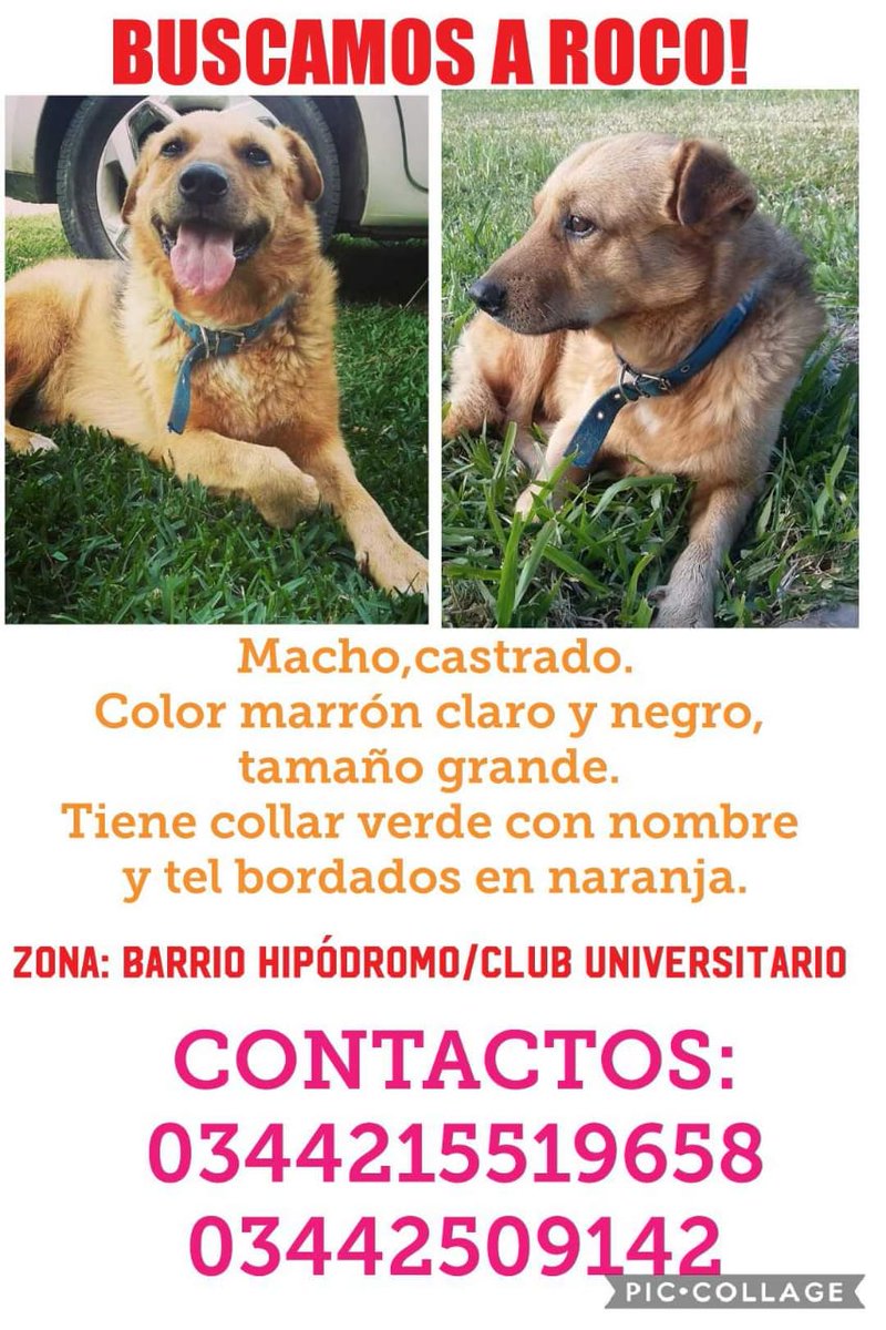 cm_barberan's tweet photo. DIFUNDIR POR FAVOR ‼️🙏 https://t.co/8DFigLVsCF