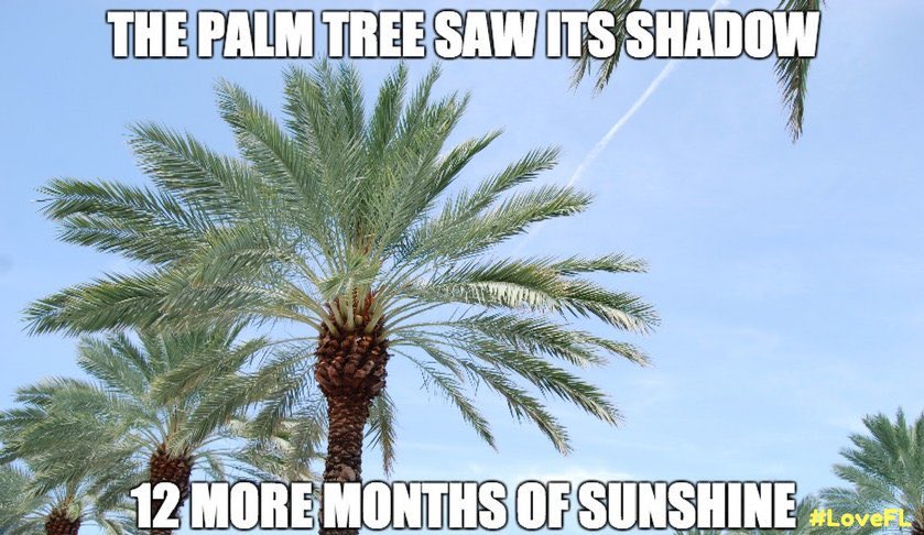 SandySellsHomes's tweet photo. Who wants to buy a home in the Sunshine State where you can find gorgeous weather year-round? #GroundhogDay #LoveFL #SunshineState #Florida #SandySellsFlorida #BHGRE https://t.co/bCnreENy2J