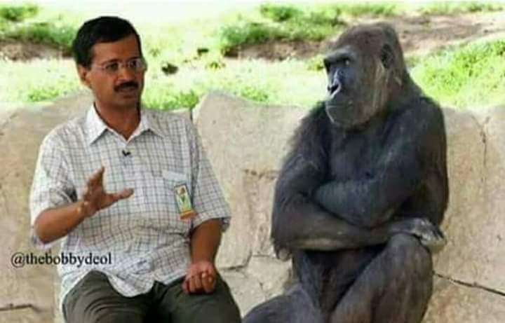 चिंपैंजी : देश की क्या समस्या है? सरजी : मोदी और शाह! चिंपैंजी : मैंने देश की पूछी है , तुम्हारी नहीं। 😜😉 @PMOIndia @AmitShah