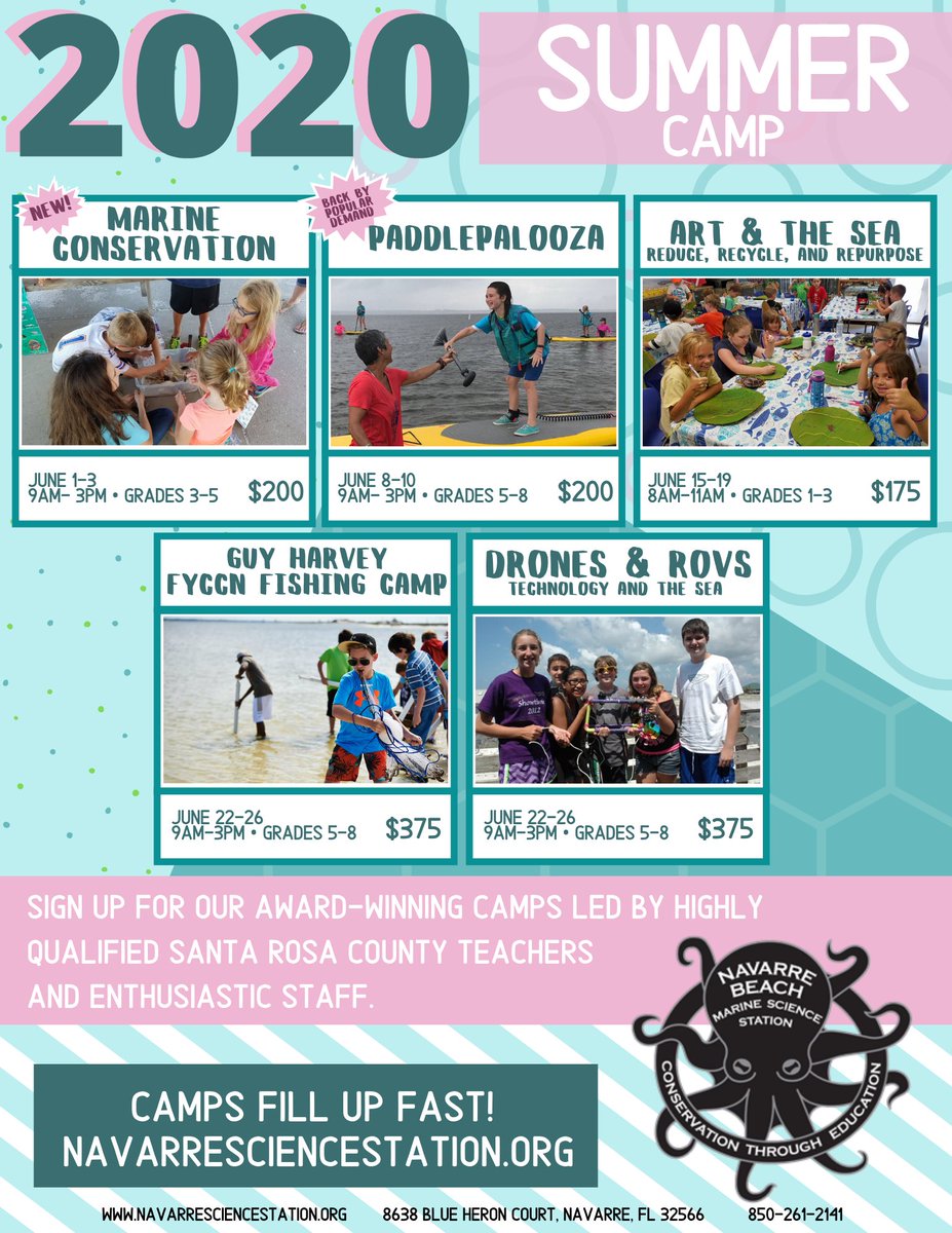 NBMSSTweets's tweet photo. Award winning summer camps, New camps added, led by Santa Rosa County teachers • link in bio • #NBMSS #BeTheSealution #NavarreBeach #GulfCoast #Florida #MarineLife #Oceans https://t.co/3qRUuWWi9J