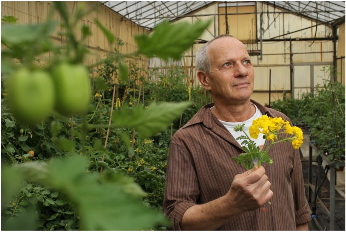 Hebrew University (@hebrewu) on Twitter photo This just in...Prof. Dani Zamir has been awarded the 2020 Israel Prize for Agriculture! <a href="/HebrewU/">Hebrew University</a>'s Zamir's is a world-renown plant geneticist who has brought the world tastier tomatoes that can also withstand drought, pests and salinity.  Now that's something to celebrate. This just in...Prof. Dani Zamir has been awarded the 2020 Israel Prize for Agriculture! <a href="/HebrewU/">Hebrew University</a>'s Zamir's is a world-renown plant geneticist who has brought the world tastier tomatoes that can also withstand drought, pests and salinity.  Now that's something to celebrate.