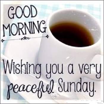 LindaEwing's tweet photo. A day to relax,and refuel for whatever challenges you have coming this week!!  🙏❤ https://t.co/IPUi2zw145